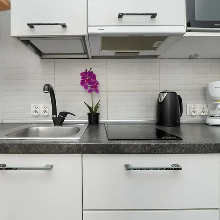 Cozy Mielczarskiego With Mezzanine In By Renters * Łódź