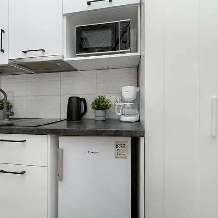 Apartament Cozy Mielczarskiego With Mezzanine In By Renters Łódź