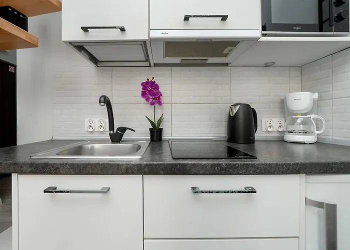 Cozy Mielczarskiego With Mezzanine In By Renters * Łódź