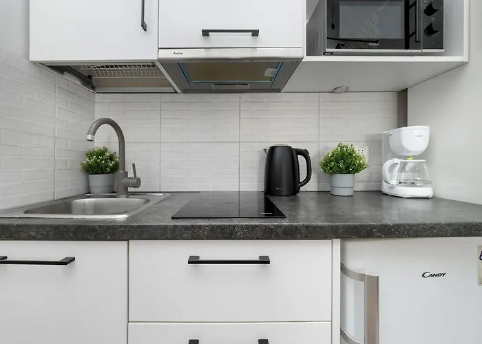 Cozy Mielczarskiego With Mezzanine In By Renters